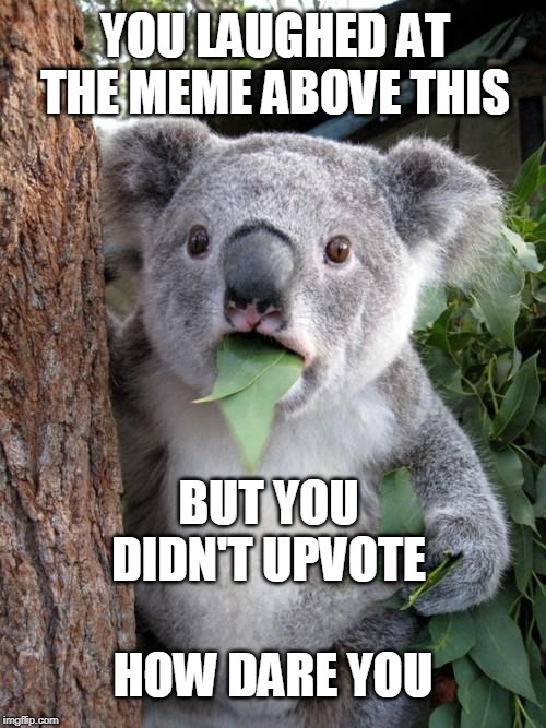 Surprised Koala | YOU LAUGHED AT THE MEME ABOVE THIS; BUT YOU DIDN'T UPVOTE; HOW DARE YOU | image tagged in memes,surprised koala | made w/ Imgflip meme maker