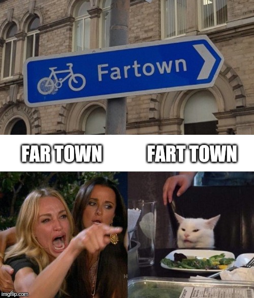FAR TOWN; FART TOWN | image tagged in memes,woman yelling at cat | made w/ Imgflip meme maker