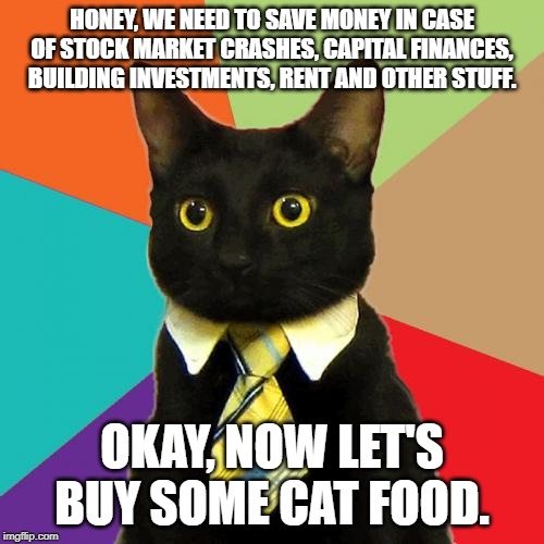 Business Cat Meme | HONEY, WE NEED TO SAVE MONEY IN CASE OF STOCK MARKET CRASHES, CAPITAL FINANCES, BUILDING INVESTMENTS, RENT AND OTHER STUFF. OKAY, NOW LET'S BUY SOME CAT FOOD. | image tagged in memes,business cat | made w/ Imgflip meme maker