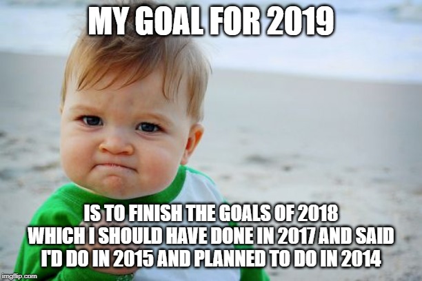 Success Kid Original | MY GOAL FOR 2019; IS TO FINISH THE GOALS OF 2018 WHICH I SHOULD HAVE DONE IN 2017 AND SAID I'D DO IN 2015 AND PLANNED TO DO IN 2014 | image tagged in memes,success kid original | made w/ Imgflip meme maker
