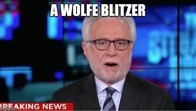 Wolf Blitzer | A WOLFE BLITZER | image tagged in wolf blitzer | made w/ Imgflip meme maker