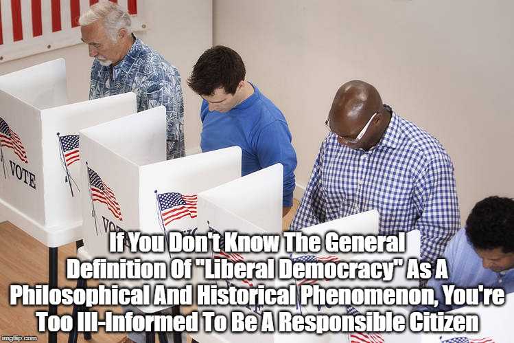 "If You Don't Know The General Definition Of 'Liberal Democracy' As A Philosphical And Historical Phenomenon..." | If You Don't Know The General Definition Of "Liberal Democracy" As A Philosophical And Historical Phenomenon, You're Too Ill-Informed To Be  | image tagged in liberal democracy,european enlightenment,look it up on wikipedia | made w/ Imgflip meme maker