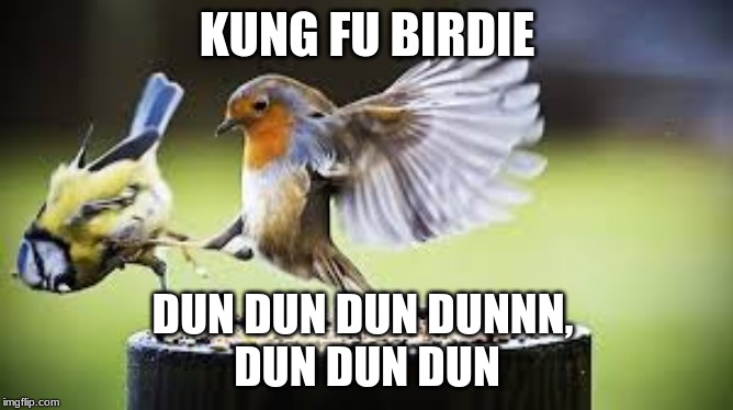 ya yeeeet | KUNG FU BIRDIE; DUN DUN DUN DUNNN, 
DUN DUN DUN | image tagged in yeet,kick | made w/ Imgflip meme maker