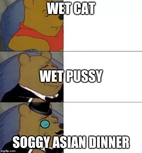 Fancy pooh | WET CAT; WET PUSSY; SOGGY ASIAN DINNER | image tagged in fancy pooh | made w/ Imgflip meme maker