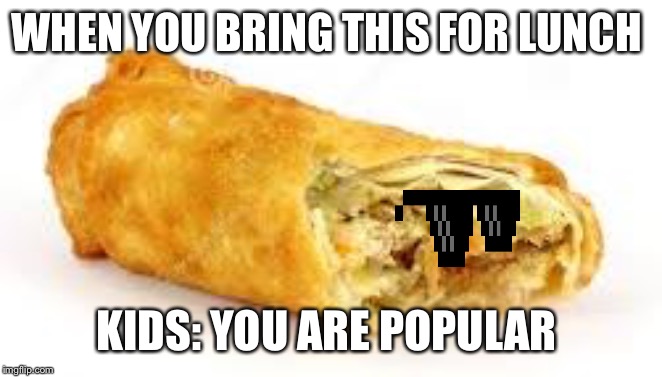 Eggrolll | WHEN YOU BRING THIS FOR LUNCH; KIDS: YOU ARE POPULAR | image tagged in eggrolll | made w/ Imgflip meme maker