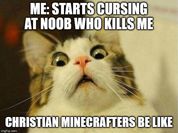 Scared Cat | ME: STARTS CURSING AT NOOB WHO KILLS ME; CHRISTIAN MINECRAFTERS BE LIKE | image tagged in memes,scared cat | made w/ Imgflip meme maker