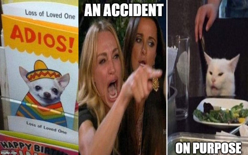 AN ACCIDENT; ON PURPOSE | image tagged in memes,woman yelling at cat | made w/ Imgflip meme maker