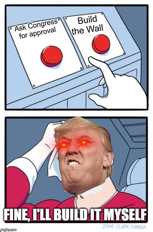 Two Buttons | Build the Wall; Ask Congress for approval; FINE, I'LL BUILD IT MYSELF | image tagged in memes,two buttons | made w/ Imgflip meme maker