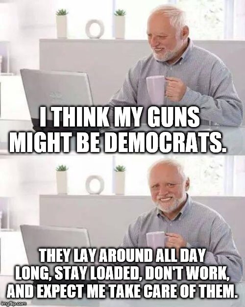 Hide the Pain Harold Meme | I THINK MY GUNS MIGHT BE DEMOCRATS. THEY LAY AROUND ALL DAY LONG, STAY LOADED, DON'T WORK, AND EXPECT ME TAKE CARE OF THEM. | image tagged in memes,hide the pain harold | made w/ Imgflip meme maker