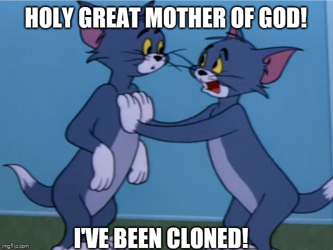 timid tabby beg | HOLY GREAT MOTHER OF GOD! I'VE BEEN CLONED! | image tagged in timid tabby beg | made w/ Imgflip meme maker