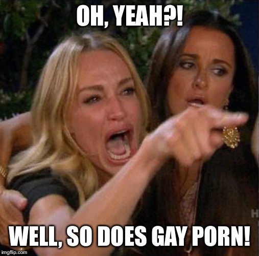 OH, YEAH?! WELL, SO DOES GAY PORN! | made w/ Imgflip meme maker