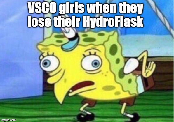 Mocking Spongebob | VSCO girls when they lose their HydroFlask | image tagged in memes,mocking spongebob | made w/ Imgflip meme maker