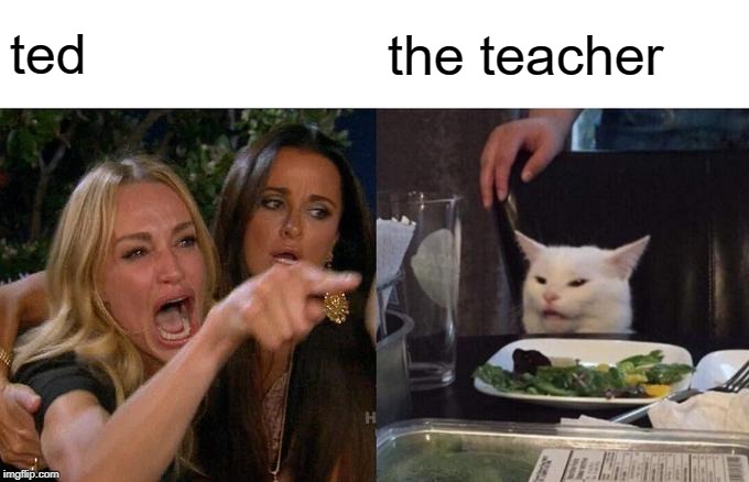 Woman Yelling At Cat Meme | ted the teacher | image tagged in memes,woman yelling at cat | made w/ Imgflip meme maker
