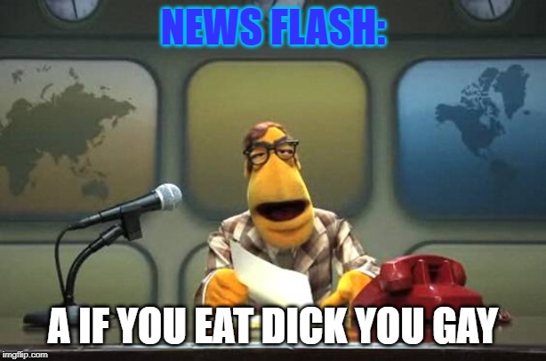 Muppet News Flash | NEWS FLASH:; A IF YOU EAT DICK YOU GAY | image tagged in muppet news flash | made w/ Imgflip meme maker