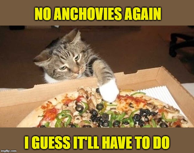 Another disappointment | NO ANCHOVIES AGAIN; I GUESS IT'LL HAVE TO DO | image tagged in memes,cat,pizza | made w/ Imgflip meme maker