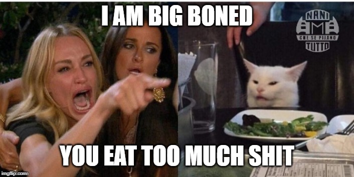 white cat table | I AM BIG BONED; YOU EAT TOO MUCH SHIT | image tagged in white cat table | made w/ Imgflip meme maker