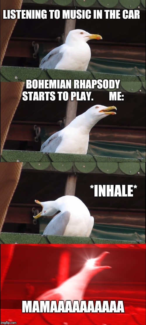 Inhaling Seagull Meme | LISTENING TO MUSIC IN THE CAR; BOHEMIAN RHAPSODY STARTS TO PLAY.        ME:; *INHALE*; MAMAAAAAAAAAA | image tagged in memes,inhaling seagull | made w/ Imgflip meme maker