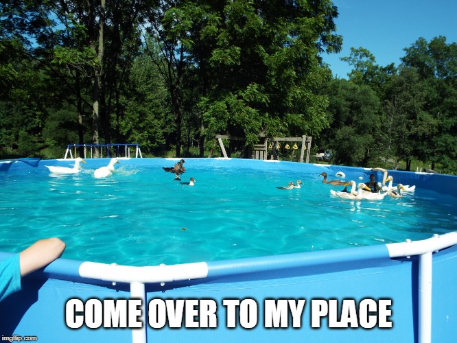 COME OVER TO MY PLACE | made w/ Imgflip meme maker
