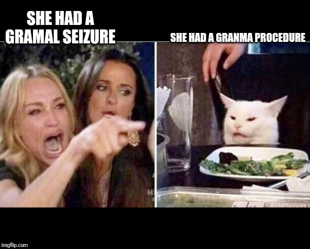 Crying girls and Cat | SHE HAD A GRAMAL SEIZURE; SHE HAD A GRANMA PROCEDURE | image tagged in crying girls and cat | made w/ Imgflip meme maker