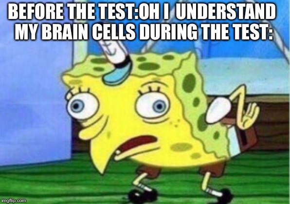 Mocking Spongebob Meme | BEFORE THE TEST:OH I  UNDERSTAND 
MY BRAIN CELLS DURING THE TEST: | image tagged in memes,mocking spongebob | made w/ Imgflip meme maker