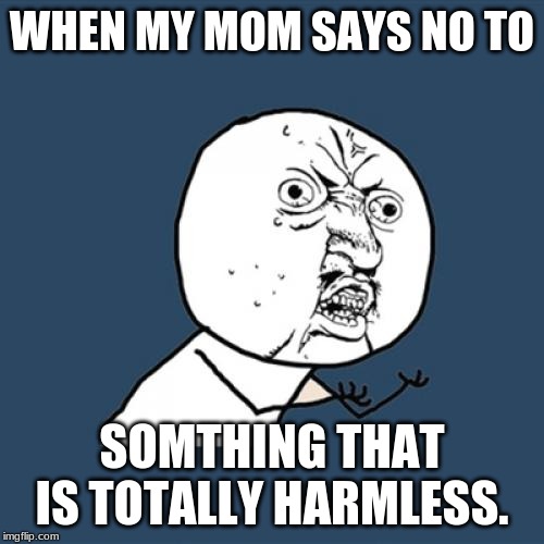 Y U No | WHEN MY MOM SAYS NO TO; SOMTHING THAT IS TOTALLY HARMLESS. | image tagged in memes,y u no | made w/ Imgflip meme maker