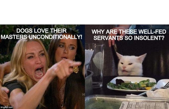 Woman Yelling At Cat Meme | DOGS LOVE THEIR MASTERS UNCONDITIONALLY! WHY ARE THESE WELL-FED SERVANTS SO INSOLENT? | image tagged in memes,woman yelling at cat | made w/ Imgflip meme maker