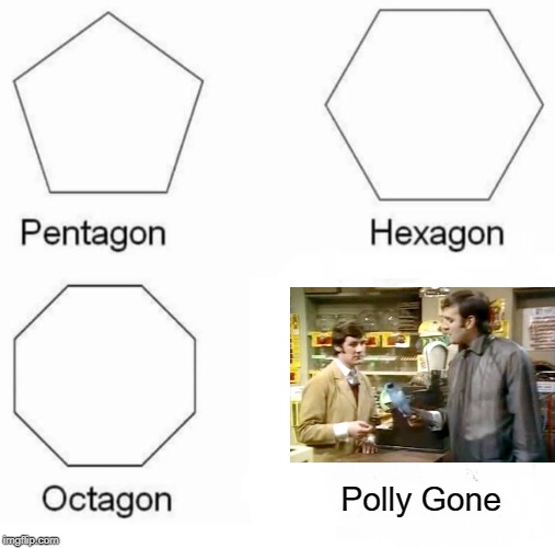It's Pining for the Fjords! | Polly Gone | image tagged in memes,pentagon hexagon octagon | made w/ Imgflip meme maker