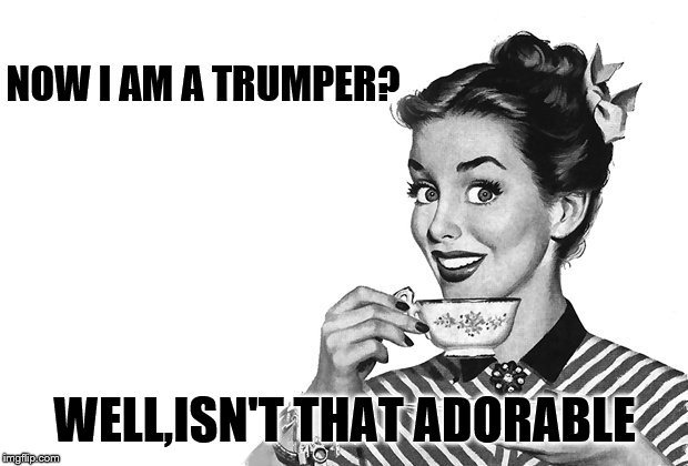 1950s Housewife | NOW I AM A TRUMPER? WELL,ISN'T THAT ADORABLE | image tagged in 1950s housewife | made w/ Imgflip meme maker