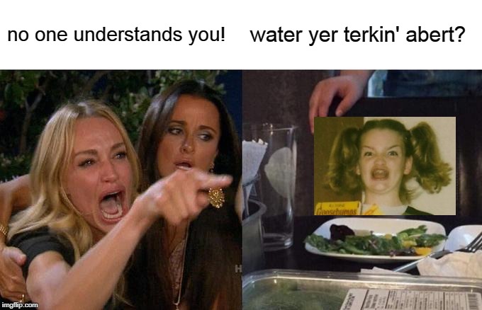 fernger pernter | no one understands you! water yer terkin' abert? | image tagged in memes,woman yelling at cat | made w/ Imgflip meme maker