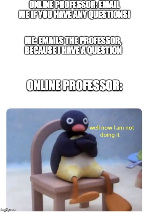 don't offer if you aren't going to follow through. | ONLINE PROFESSOR: EMAIL ME IF YOU HAVE ANY QUESTIONS! ME: EMAILS THE PROFESSOR, BECAUSE I HAVE A QUESTION; ONLINE PROFESSOR: | image tagged in well now i am not doing it | made w/ Imgflip meme maker