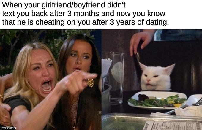 Woman Yelling At Cat | When your girlfriend/boyfriend didn't text you back after 3 months and now you know that he is cheating on you after 3 years of dating. | image tagged in memes,woman yelling at cat | made w/ Imgflip meme maker