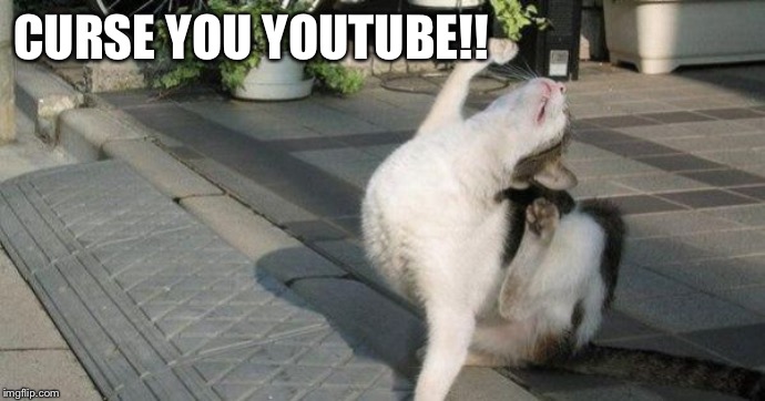 Curse you villain cat | CURSE YOU YOUTUBE!! | image tagged in curse you villain cat | made w/ Imgflip meme maker