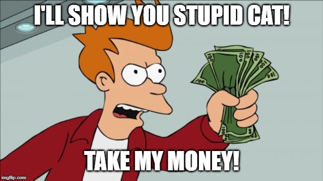 Shut Up And Take My Money Fry Meme | I'LL SHOW YOU STUPID CAT! TAKE MY MONEY! | image tagged in memes,shut up and take my money fry | made w/ Imgflip meme maker
