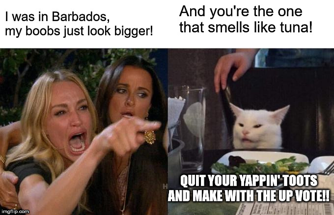 John Hammcat | And you're the one that smells like tuna! I was in Barbados, my boobs just look bigger! QUIT YOUR YAPPIN' TOOTS AND MAKE WITH THE UP VOTE!! | image tagged in memes,woman yelling at cat,fishing for upvotes,madmen 50's | made w/ Imgflip meme maker