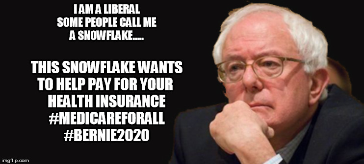 bernie sanders 2016 | I AM A LIBERAL
SOME PEOPLE CALL ME
A SNOWFLAKE..... THIS SNOWFLAKE WANTS
TO HELP PAY FOR YOUR 
HEALTH INSURANCE

#MEDICAREFORALL
#BERNIE2020 | image tagged in bernie sanders 2016 | made w/ Imgflip meme maker