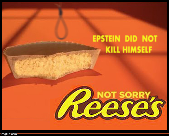 Reeses not sorry | image tagged in reeses not sorry,not sorry,lol,jeffrey epstein,political meme,crooked hillary | made w/ Imgflip meme maker