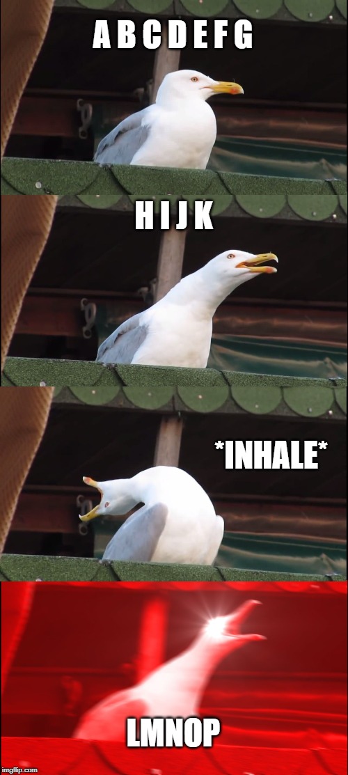 Inhaling Seagull Meme | A B C D E F G; H I J K; *INHALE*; LMNOP | image tagged in memes,inhaling seagull | made w/ Imgflip meme maker
