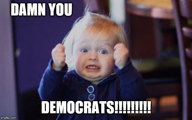 excited kid | DAMN YOU DEMOCRATS!!!!!!!!! | image tagged in excited kid | made w/ Imgflip meme maker