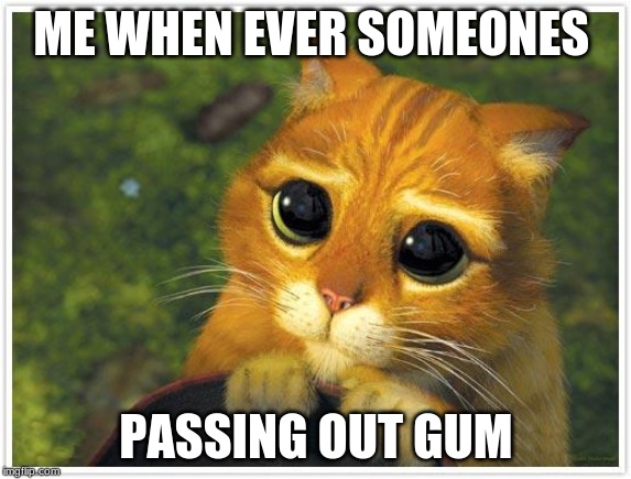 Shrek Cat Meme | ME WHEN EVER SOMEONES; PASSING OUT GUM | image tagged in memes,shrek cat | made w/ Imgflip meme maker