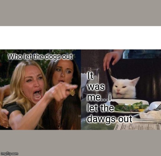 Woman Yelling At Cat Meme | It was me...i let the dawgs out; Who let the dogs out | image tagged in memes,woman yelling at cat | made w/ Imgflip meme maker