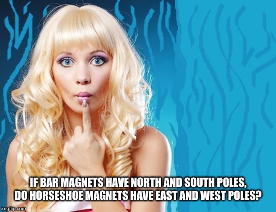 ditzy blonde | IF BAR MAGNETS HAVE NORTH AND SOUTH POLES, DO HORSESHOE MAGNETS HAVE EAST AND WEST POLES? | image tagged in ditzy blonde | made w/ Imgflip meme maker