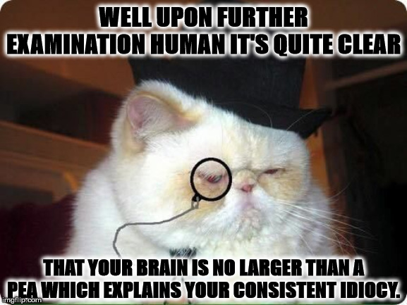 PEA BRAIN | WELL UPON FURTHER EXAMINATION HUMAN IT'S QUITE CLEAR; THAT YOUR BRAIN IS NO LARGER THAN A PEA WHICH EXPLAINS YOUR CONSISTENT IDIOCY. | image tagged in pea brain | made w/ Imgflip meme maker