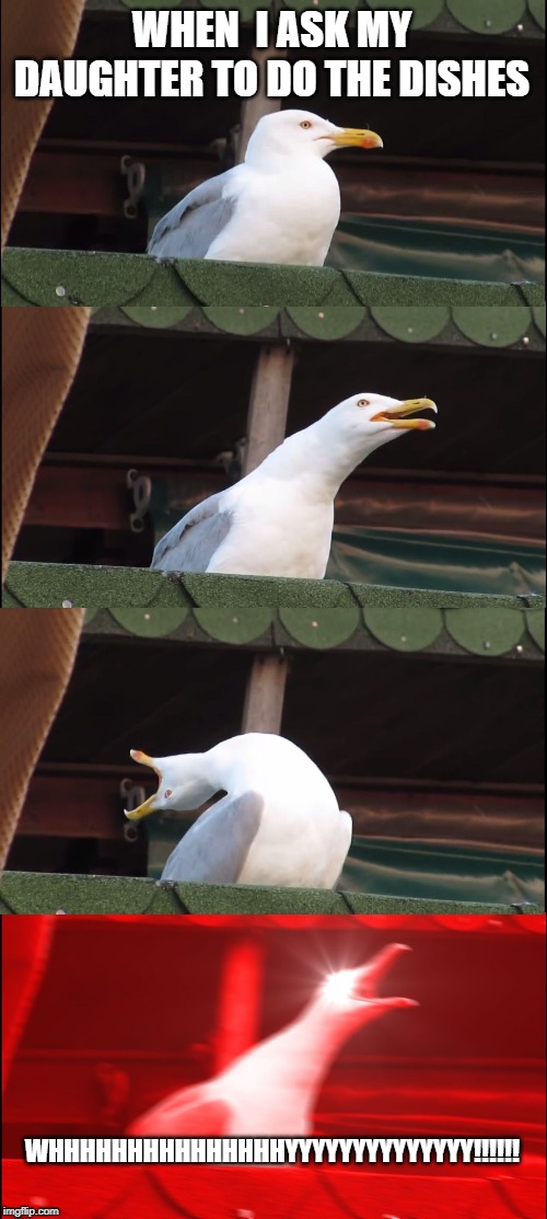 Inhaling Seagull Meme | WHEN  I ASK MY DAUGHTER TO DO THE DISHES; WHHHHHHHHHHHHHHHYYYYYYYYYYYYYY!!!!!! | image tagged in memes,inhaling seagull | made w/ Imgflip meme maker