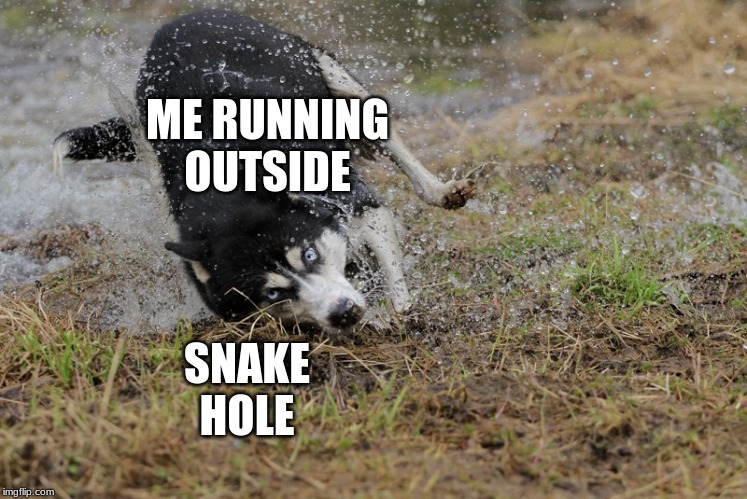moonmoon | ME RUNNING OUTSIDE; SNAKE
HOLE | image tagged in moonmoon | made w/ Imgflip meme maker