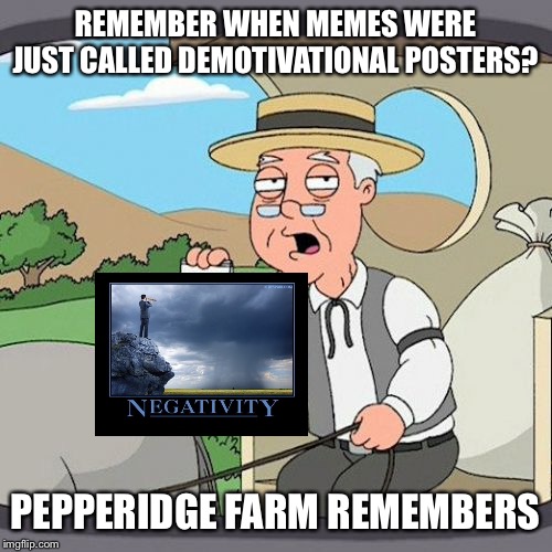 Ahh... back in the good ol’ days | REMEMBER WHEN MEMES WERE JUST CALLED DEMOTIVATIONAL POSTERS? PEPPERIDGE FARM REMEMBERS | image tagged in memes,pepperidge farm remembers,demotivational,old people,og memes | made w/ Imgflip meme maker