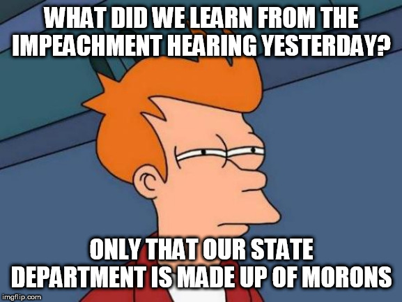 Futurama Fry | WHAT DID WE LEARN FROM THE IMPEACHMENT HEARING YESTERDAY? ONLY THAT OUR STATE DEPARTMENT IS MADE UP OF MORONS | image tagged in memes,futurama fry | made w/ Imgflip meme maker