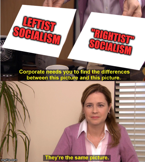 They're The Same Picture Meme | LEFTIST SOCIALISM "RIGHTIST" SOCIALISM | image tagged in pam theyre the same picture | made w/ Imgflip meme maker