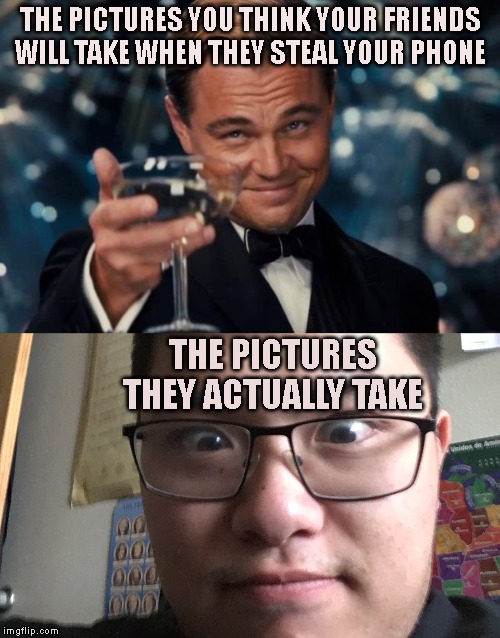 THE PICTURES YOU THINK YOUR FRIENDS WILL TAKE WHEN THEY STEAL YOUR PHONE; THE PICTURES THEY ACTUALLY TAKE | image tagged in memes,leonardo dicaprio cheers | made w/ Imgflip meme maker