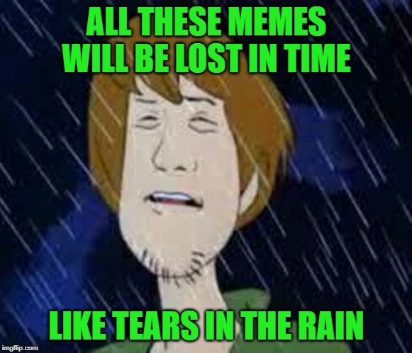 Shaggyrunner | ALL THESE MEMES WILL BE LOST IN TIME; LIKE TEARS IN THE RAIN | image tagged in shaggy | made w/ Imgflip meme maker