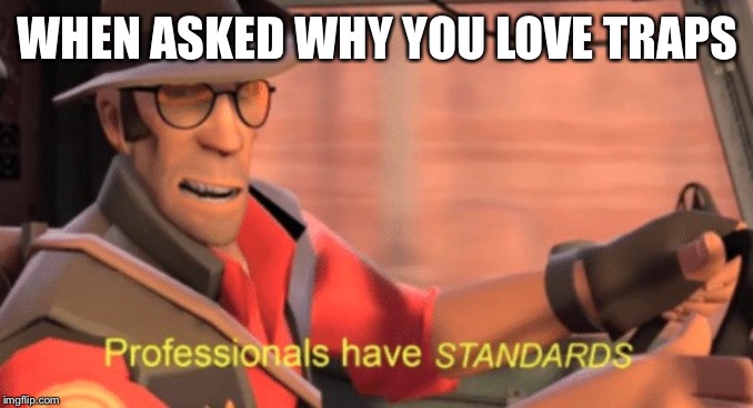 Professionals have standards | WHEN ASKED WHY YOU LOVE TRAPS | image tagged in professionals have standards | made w/ Imgflip meme maker